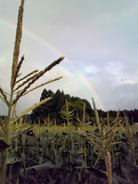 竹田食育ツーリズム研修